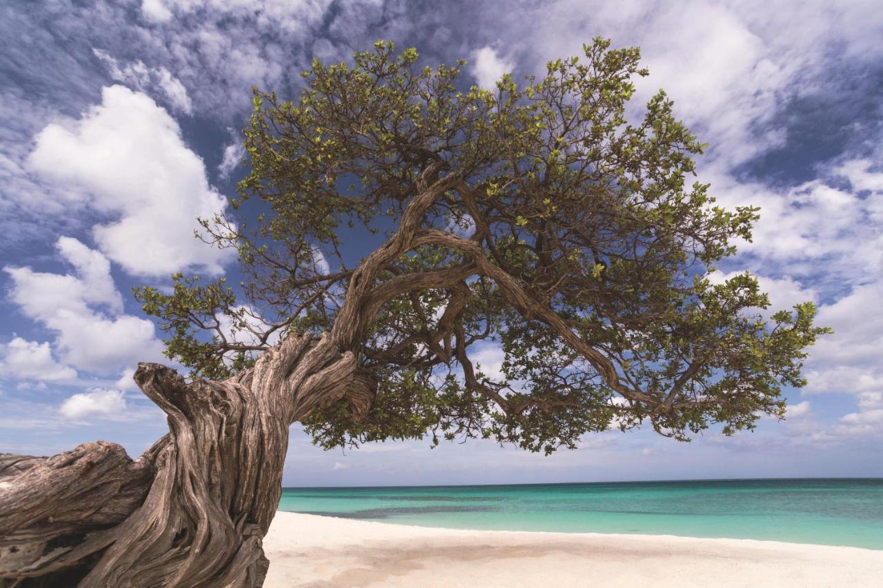 The Ritz-Carlton, Aruba Hotel Palm Beach Exterior foto